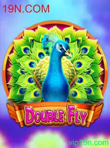 Explorando o Mundo de DoubleFly: Um Guia Completo