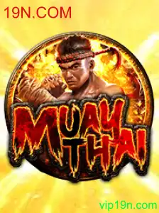Descobrindo o Fascinante Universo de MuayThai e a Plataforma 19N.COM